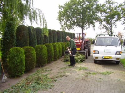 Bedrijfstuin Berends Groencentrum 